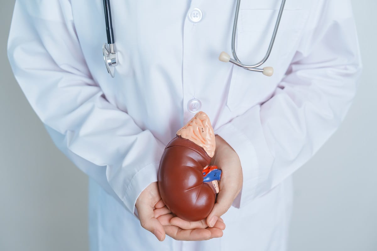 O que você deve fazer durante uma Cólica Renal?